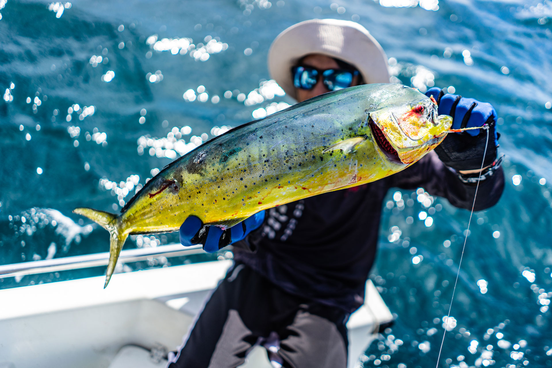 fishing hvar